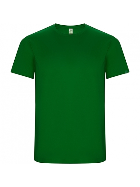 t-shirt-tecnica-uomo-imola-roly-226 verde felce.jpg